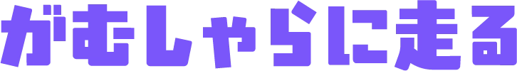 がむしゃらに走る